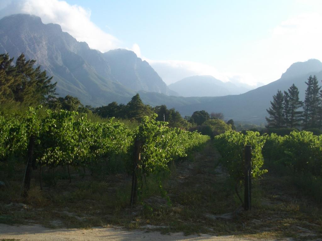 La Verdure Fruit Farm Franschhoek Quarto foto